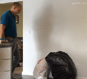 300_273gif 动态图 动图