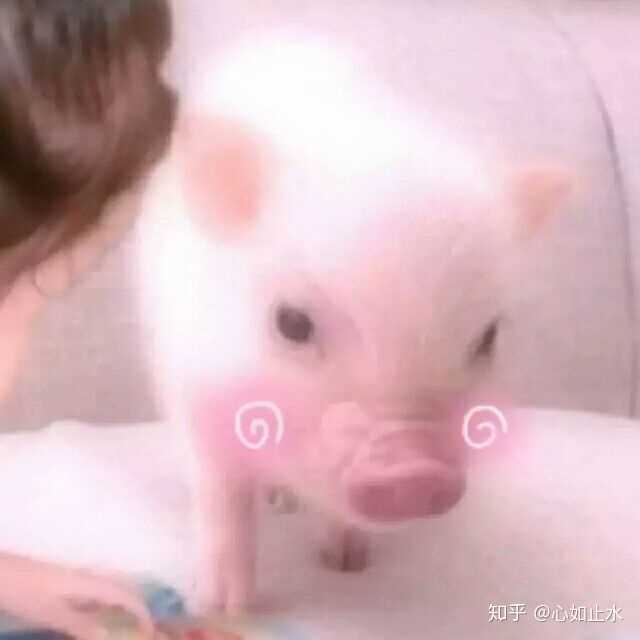 谁有可爱的情侣小猪头像,求推介,谢谢?