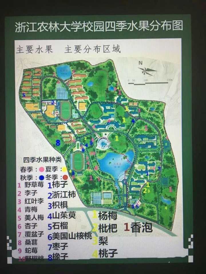 在浙江农林大学就读是一种怎样的体验?