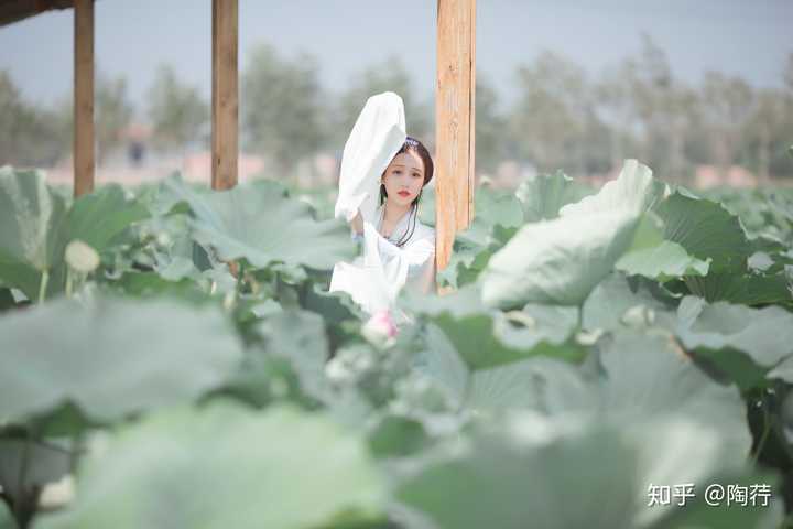 我想知道穿唐汉服拍照怎么去摆姿势好看?