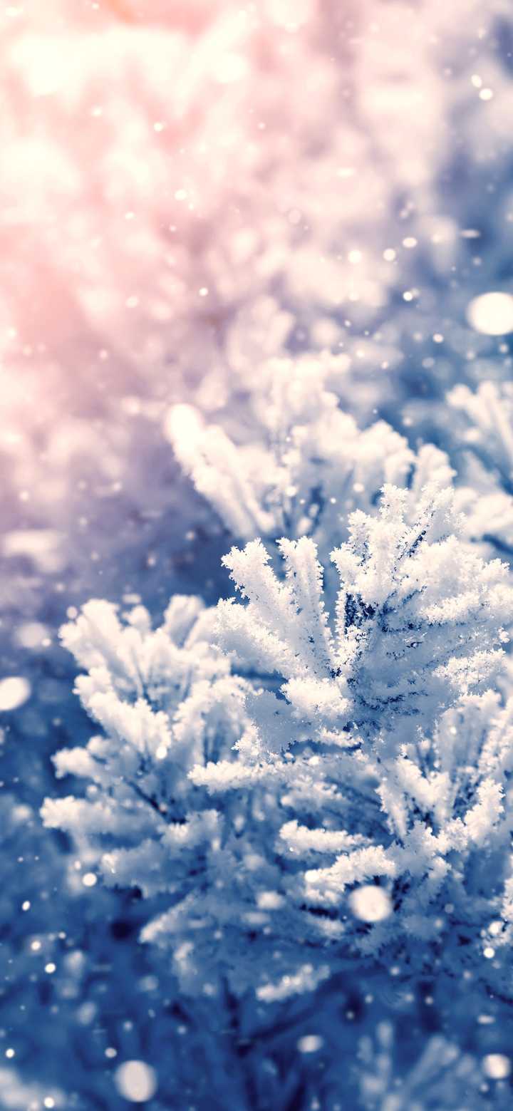有什么好看的雪景壁纸图片?