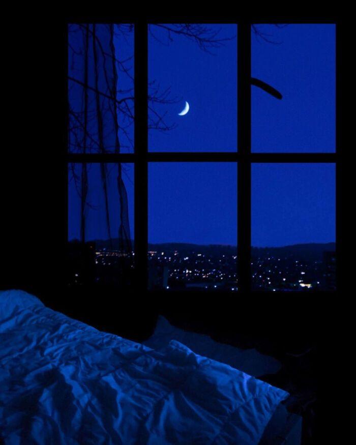 "我真的很想从你的窗子里看月亮."