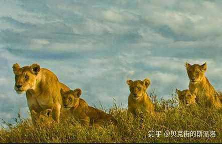 你看过什么好看的纪录片?