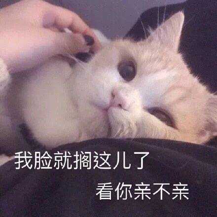 有一个会撒娇的男朋友是什么感觉?