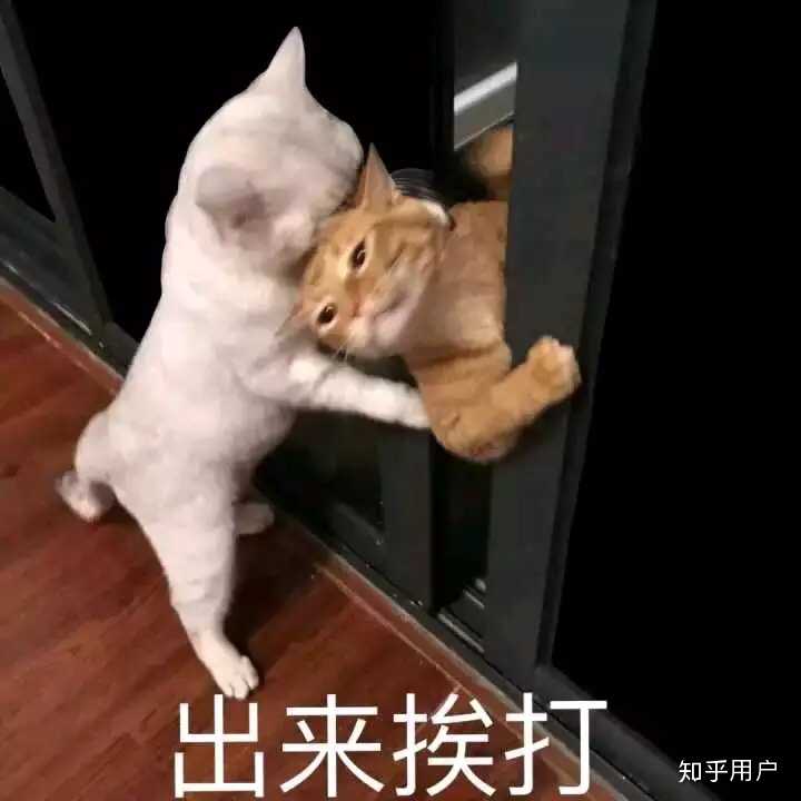 有哪些可以哄男朋友开心的表情包?