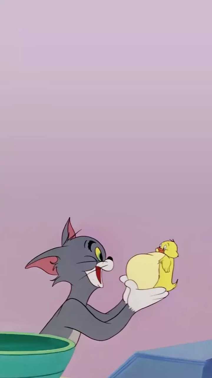 喜欢猫和老鼠? tom  and  jerry