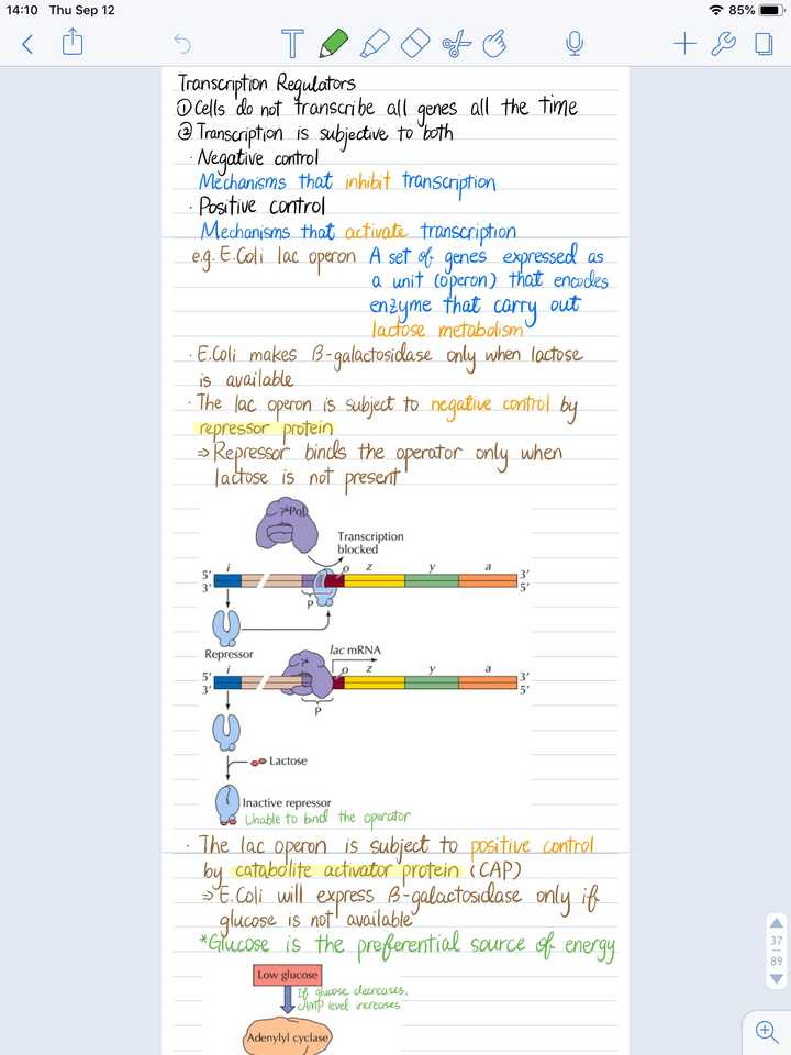 notability截图,notability图片 notability做出的笔记可以多好看