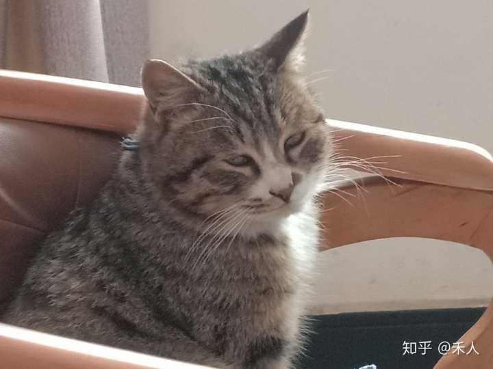 这不屑