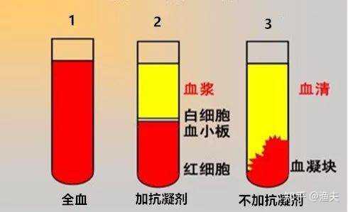 武汉金银潭医院院长恳求康复患者捐献血浆拯救其他患者,血浆能起多大