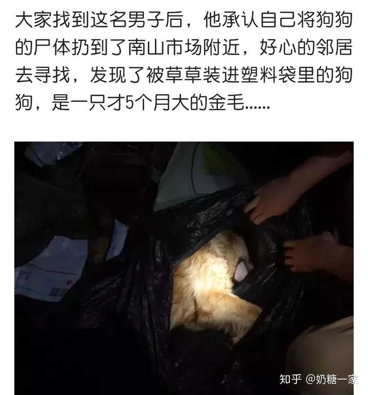 男子在女儿面前虐狗致死,只因为狗狗在家里拉尿