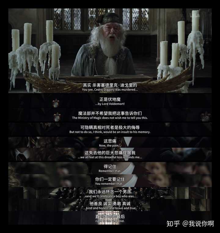 慢慢添加吧,今天先放一个《哈利波特与火焰杯》 三强争霸赛结束的