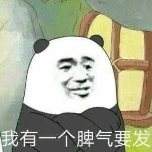 你有哪些可爱的表情包?