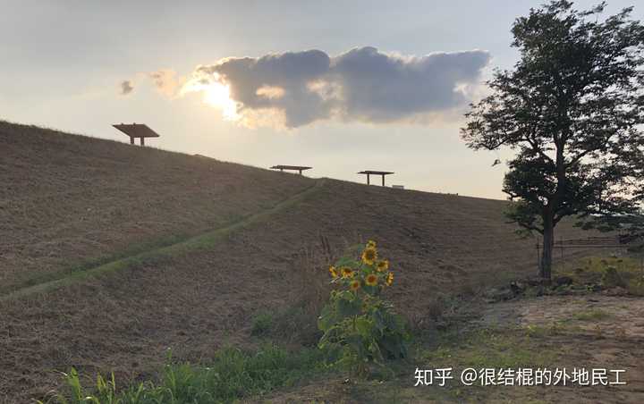 全球人员素质最低的国家---日本(多图)