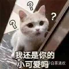 有哪些撩男友的表情包?