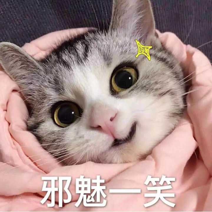 我没猫,如果有猫绝对不会存这么多别人家的猫 还有很多就不发了