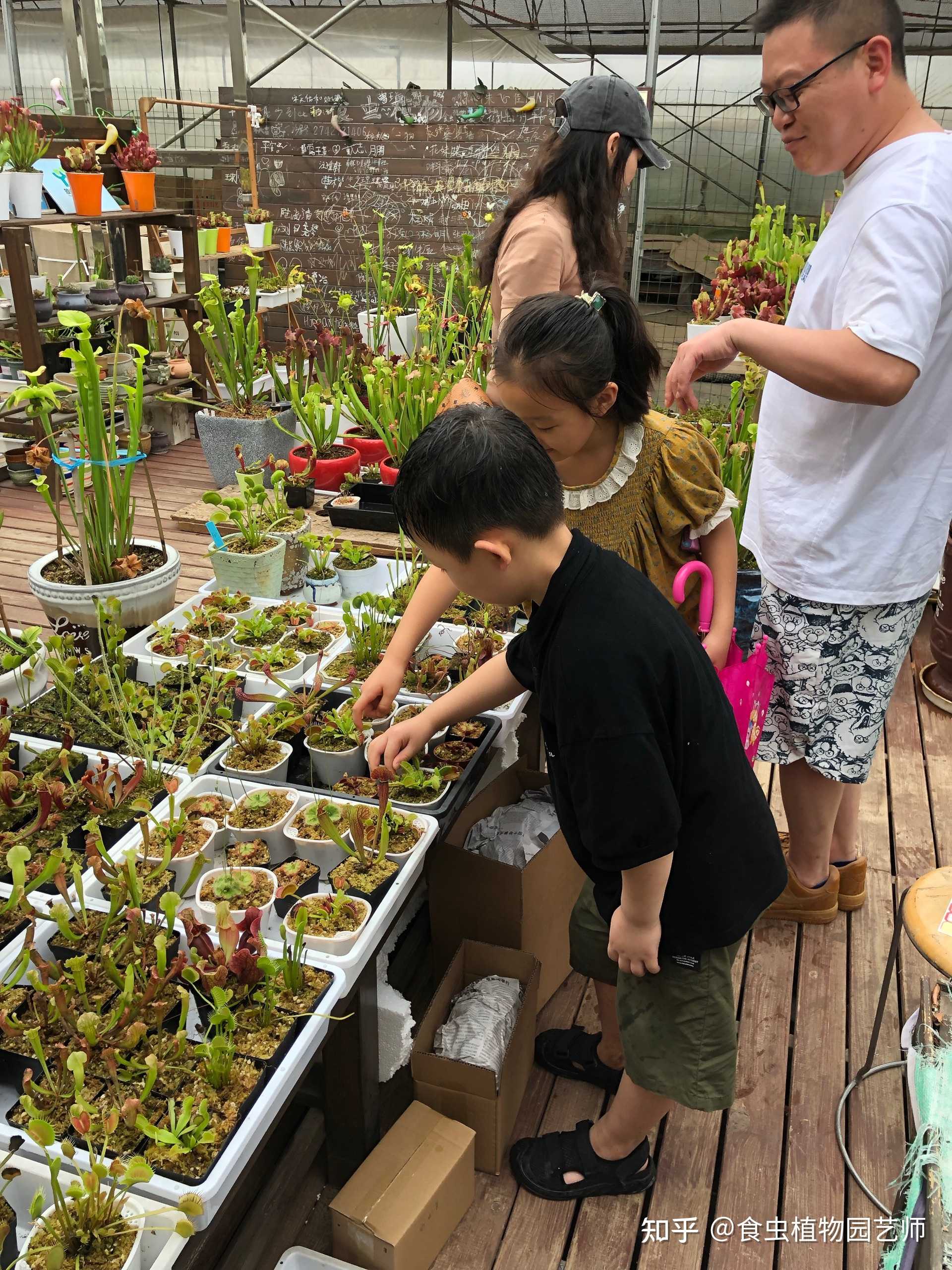 食虫植物园艺师 的想法: 萌植苑食虫植物园艺体验馆