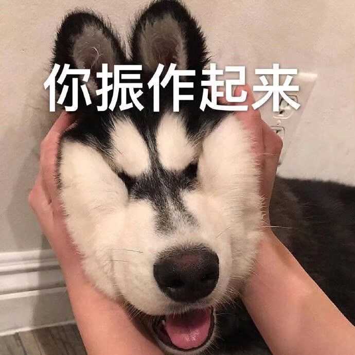 有哪些沙雕表情包?