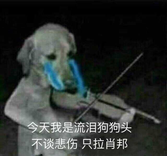 必要搞得那么惨兮兮,我既然现在没有办法辞职,那我就每天看亿遍表情包