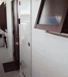 有哪些搞笑的动图/gif表情包?