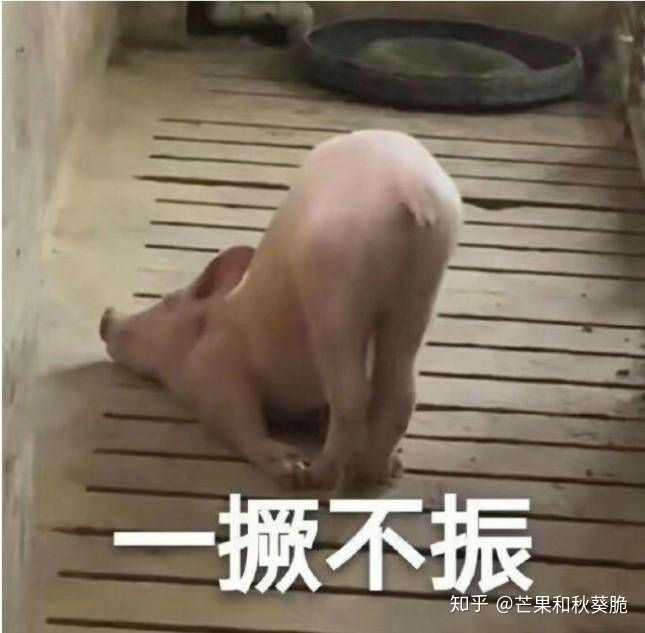 你有什么沙雕的表情包?