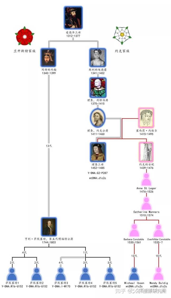 族徽的兰开斯特家族曾经为争夺英国王位而掀起了旷日持久的"玫瑰战争"