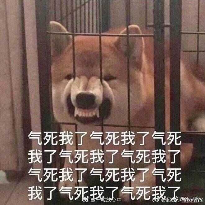 那些让你感到很真实的的"对比"表情包?