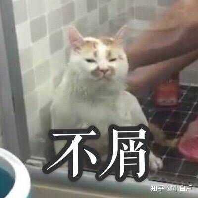 有什么万能表情包?