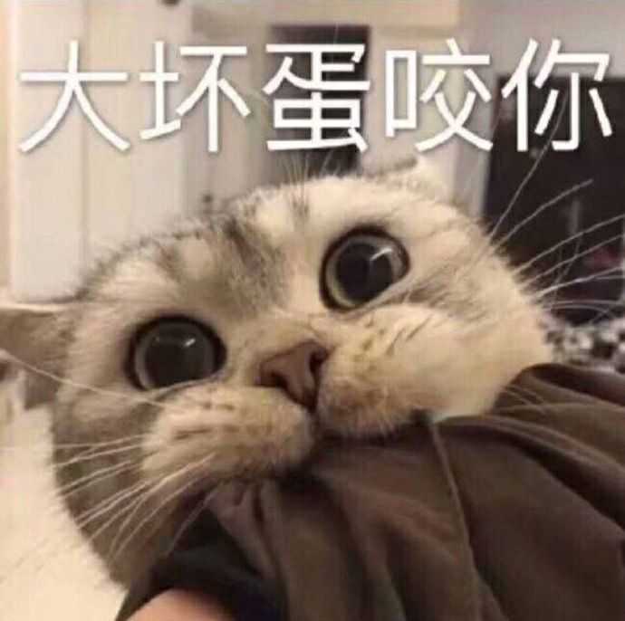 系表情包,就是用可爱的图自己加文字就可以了,上面的表情包里,就有我