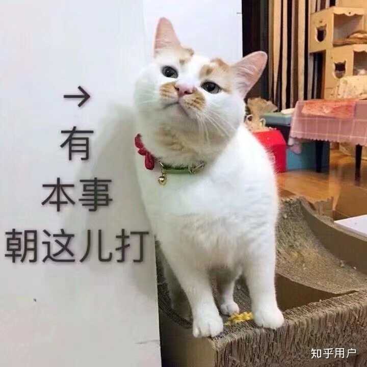 你见到过哪些笑到不行表情包?