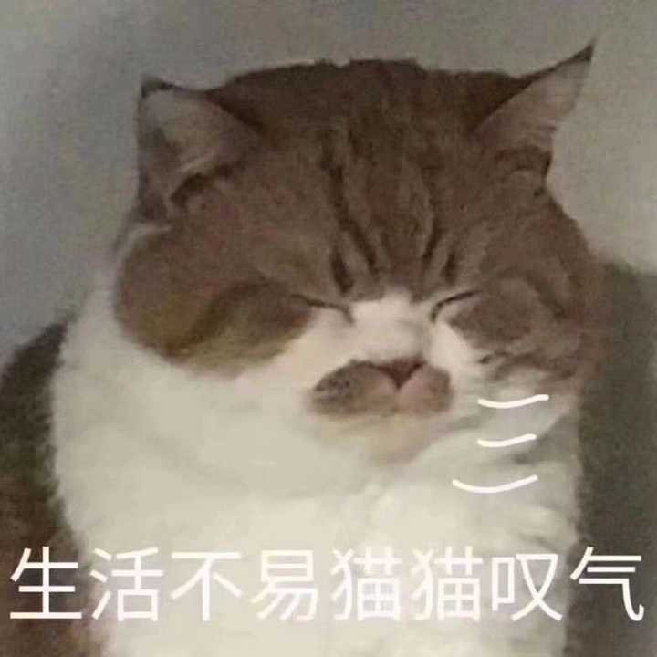 有哪些沙雕表情包?