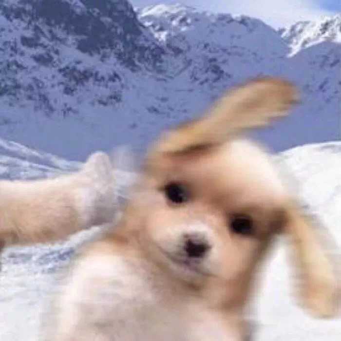 有那种憨憨的情侣头像吗?