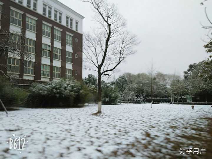 在四川大学锦城学院就读是一种怎样的体验?