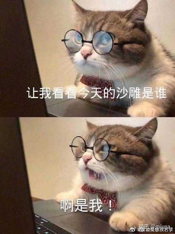 男生看到非常沙雕的女生是什么感觉