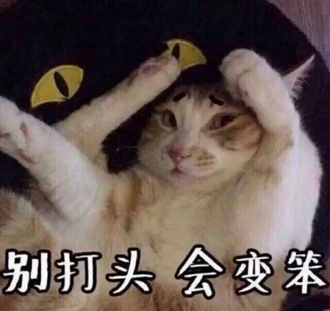 你见到过哪些笑到不行表情包?