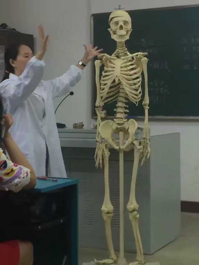 人体解剖学课堂
