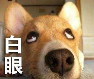 有哪些能把人死的表情包?