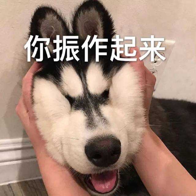 你有哪些珍藏的「安慰别人」的表情包?