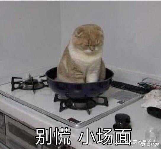 如何客观评价杨洋的人品?