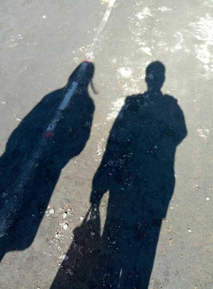 两个人走在一起时的影子