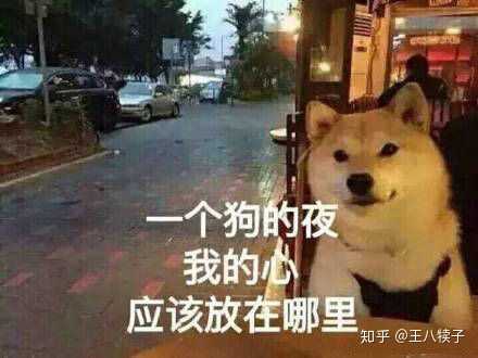 4 万 255 条评论 分享 收藏 喜欢 任何感情,双向的奔赴才会有意义.
