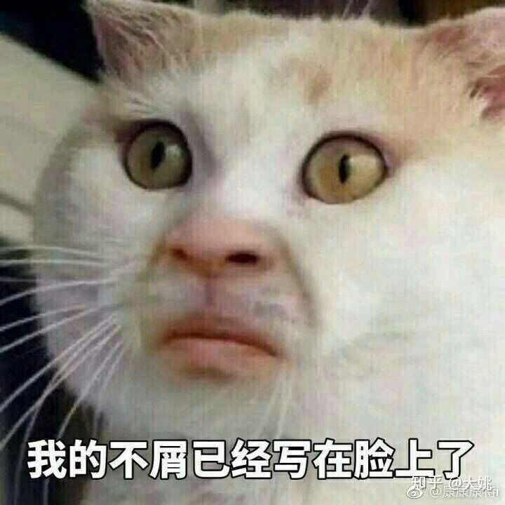 你见到过哪些笑到不行表情包?