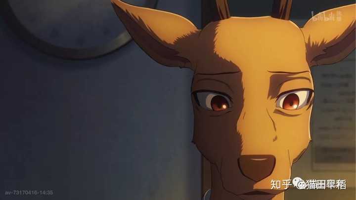 如何评价2019年10月新番beastars(动物狂想曲)?