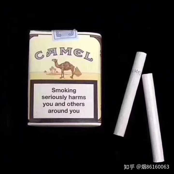无嘴骆驼