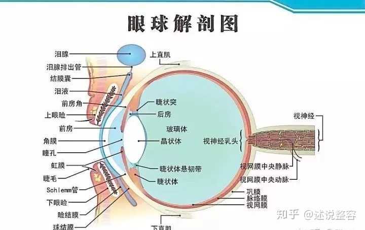 请问我这个算不算上眼睑下垂?