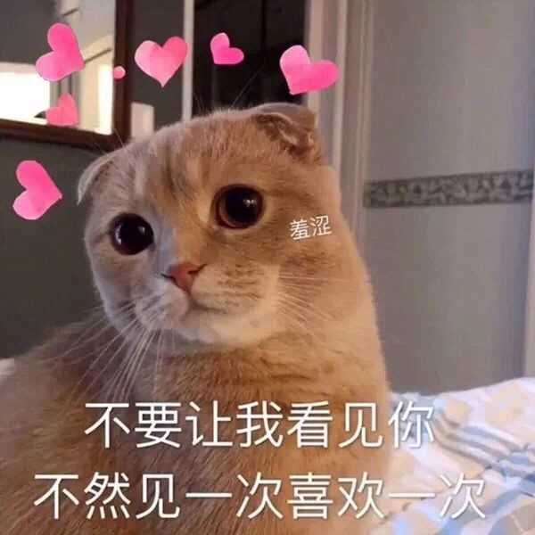 有哪些可爱的表情包?