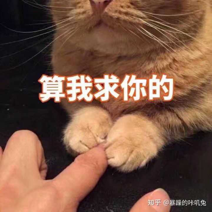 有哪些适合女生聊天用的表情包?