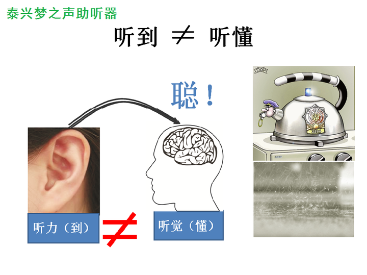 但是听懂(听清)需要大脑去处理哦(听觉!