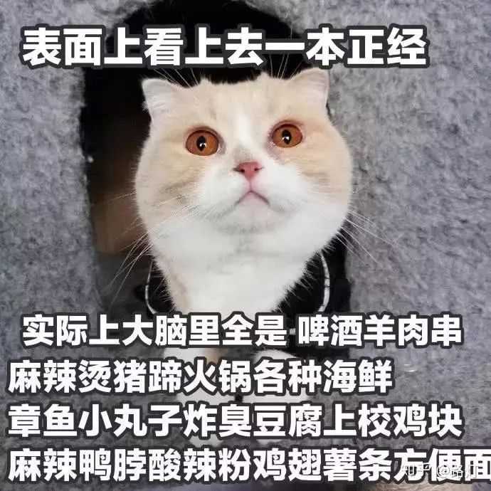 怎么变得脸皮厚?