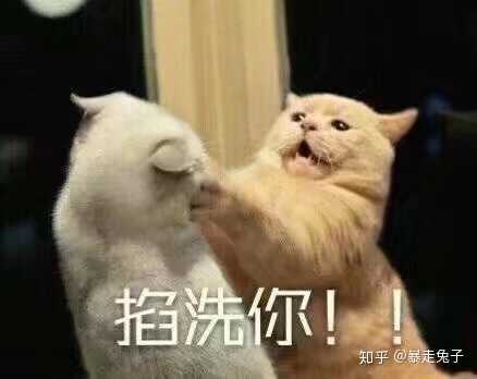 有没有类似这种的表情包?