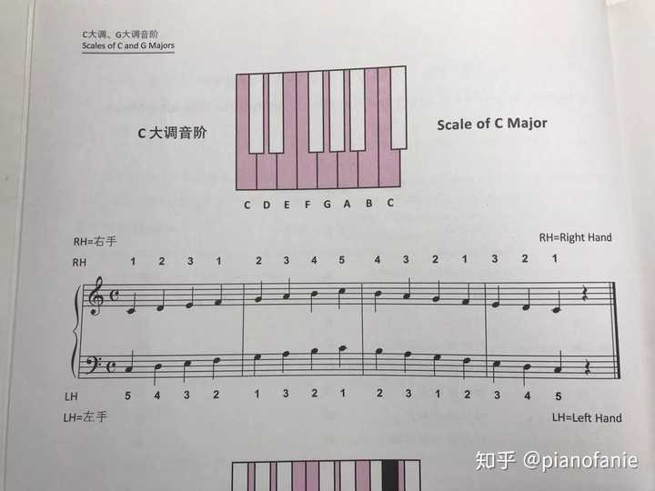全音阶因为在弹奏的时候会产生特殊的效果,所以印象主义作曲家比较